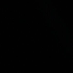 Meet your Posher, Evan